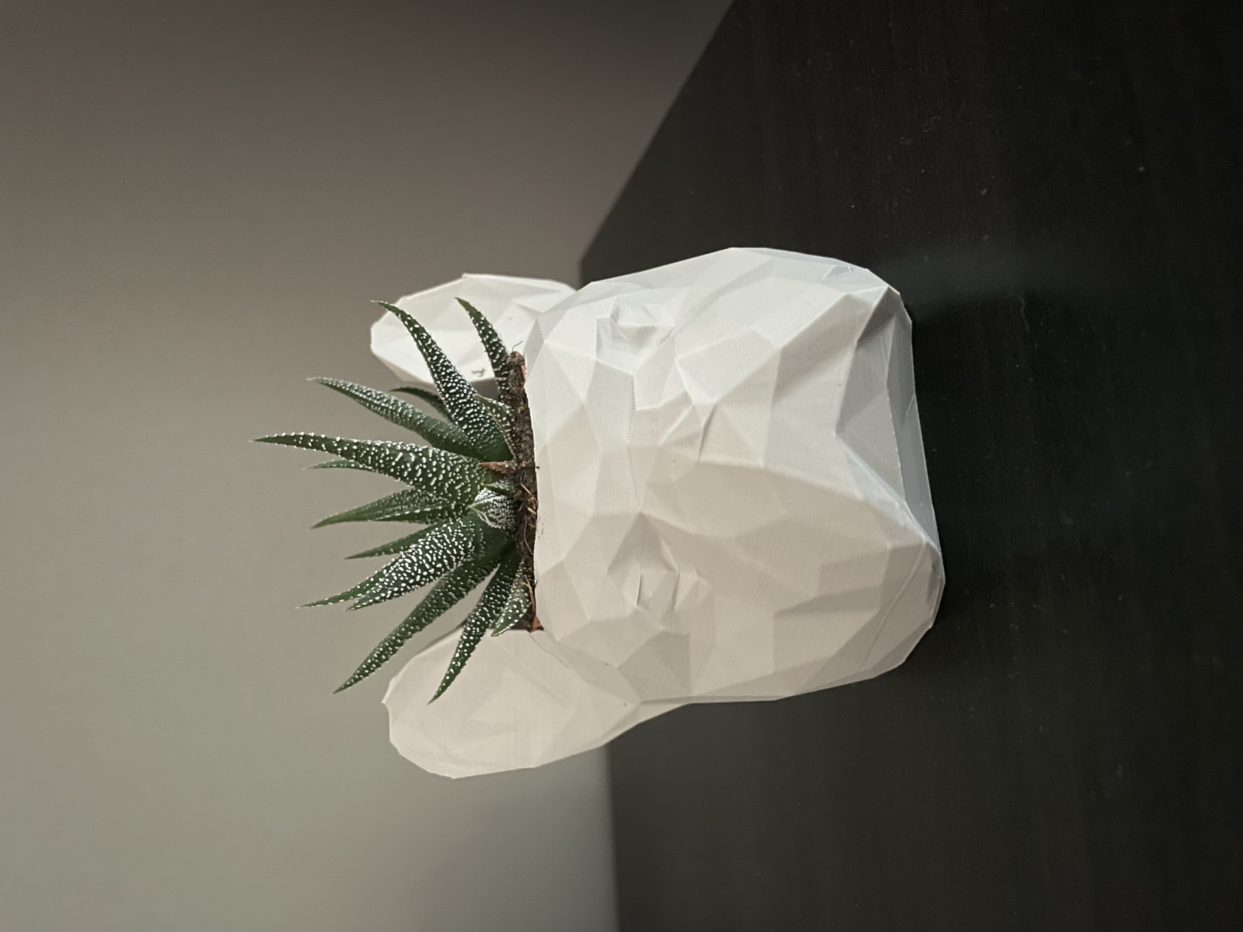 French Bulldog Head Low Poly Planter