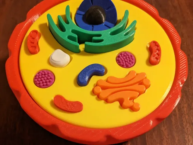 Buildable Cell model by Zachary Louis May | Download free STL model ...