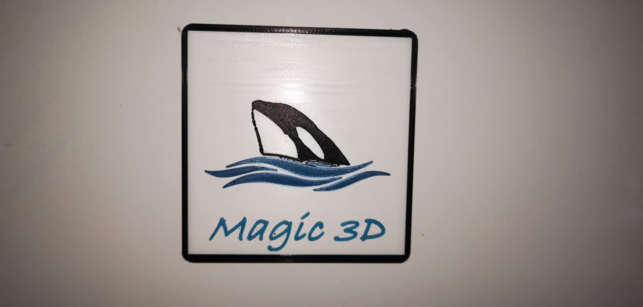 Orca & Magnet