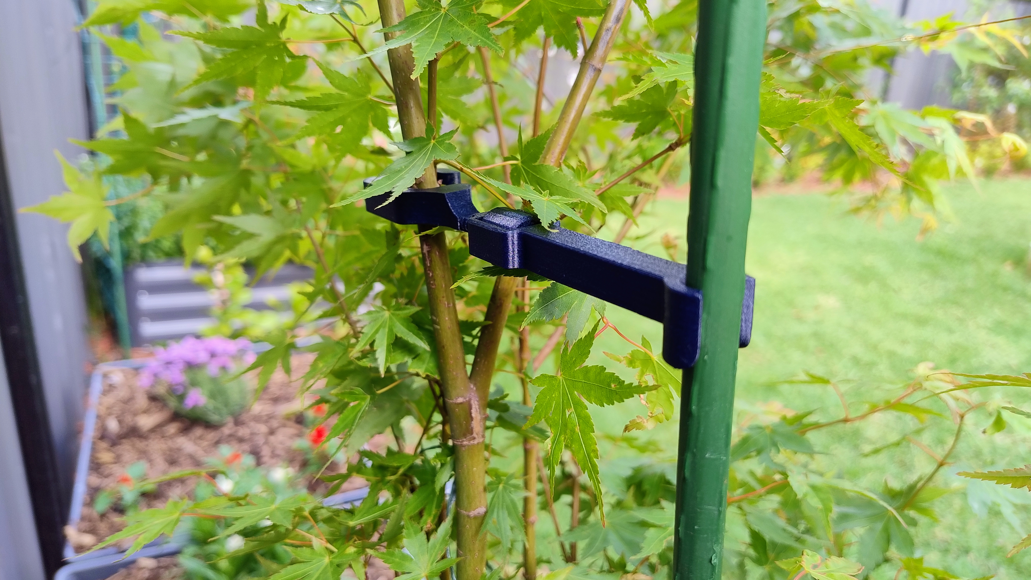 Young tree support