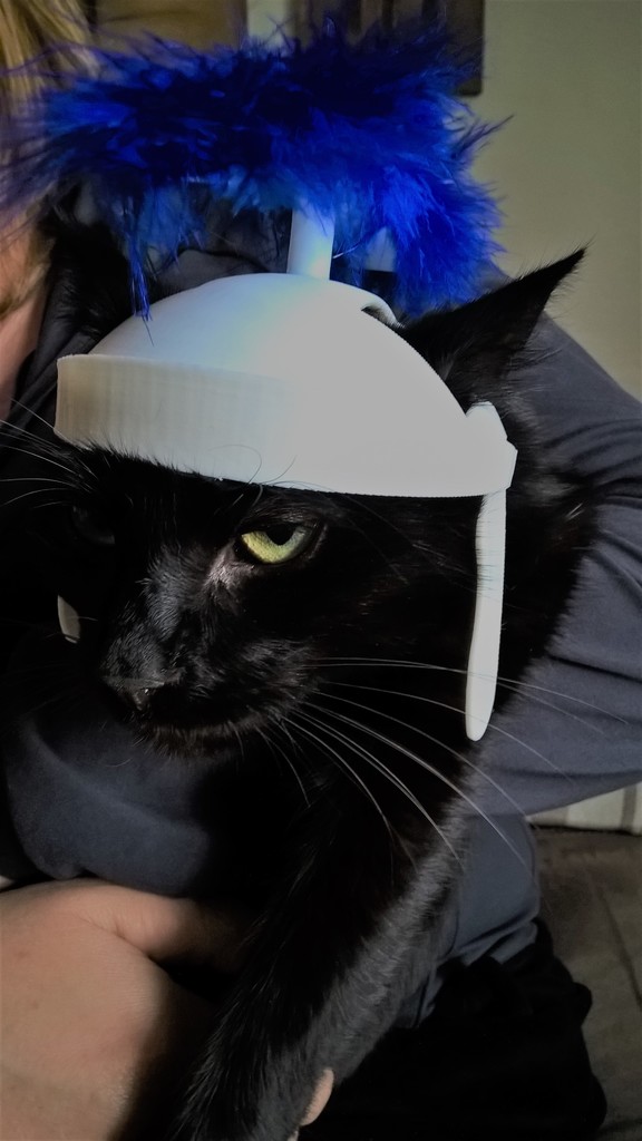 roman cat helmet
