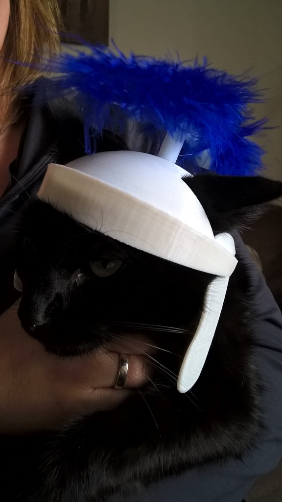 roman cat helmet — miniatura 5