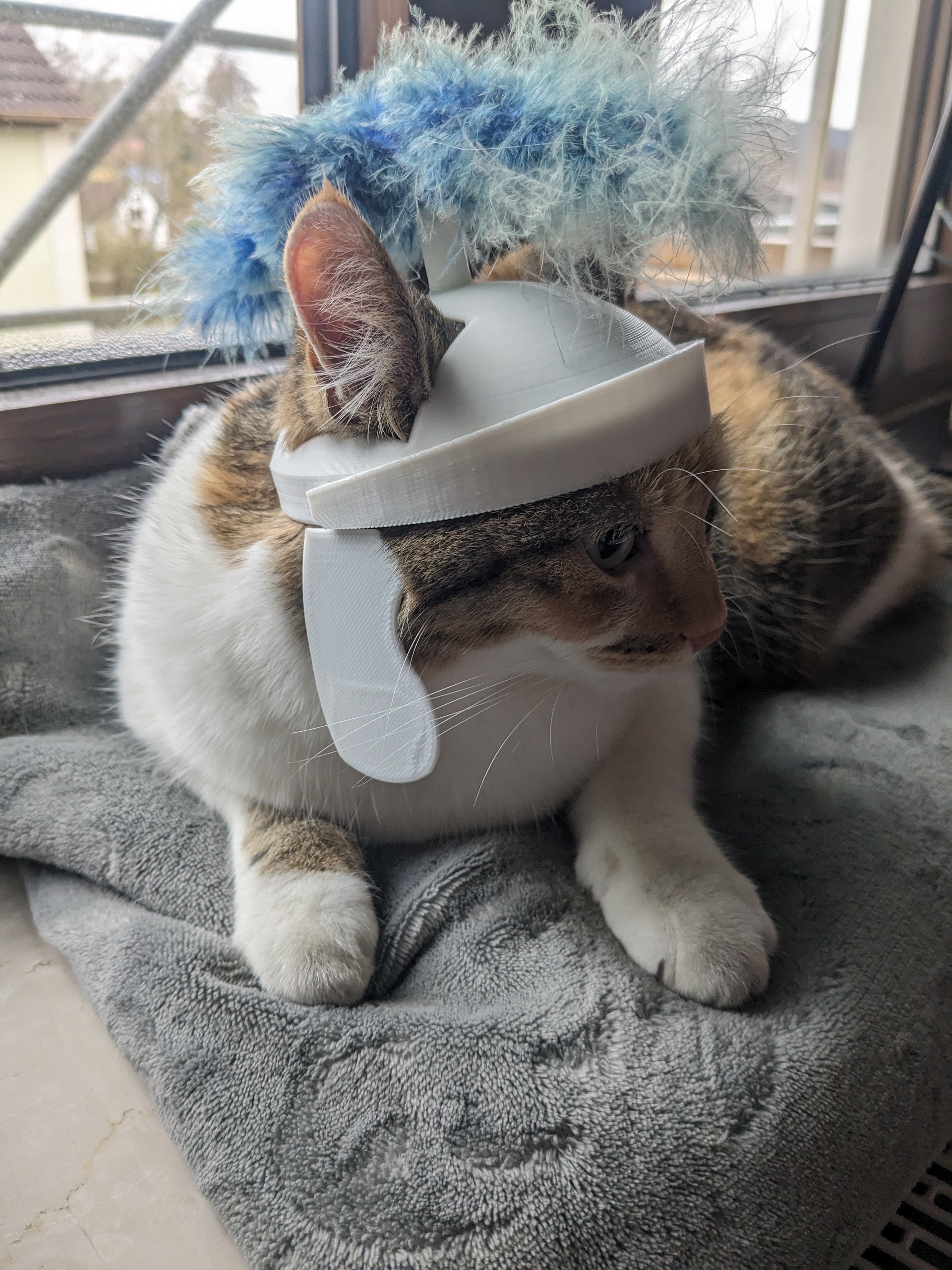roman cat helmet