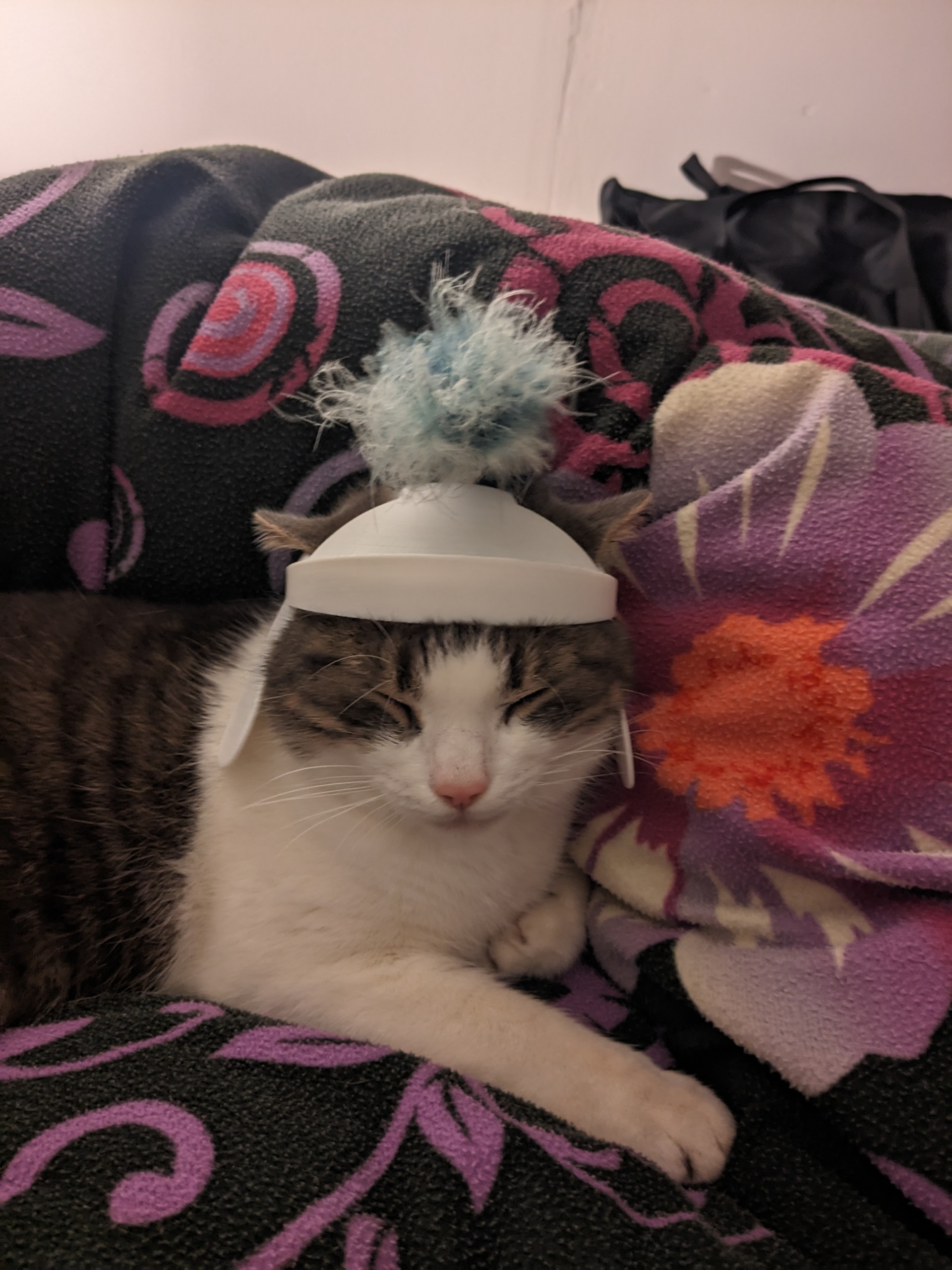 roman cat helmet — miniatura 4