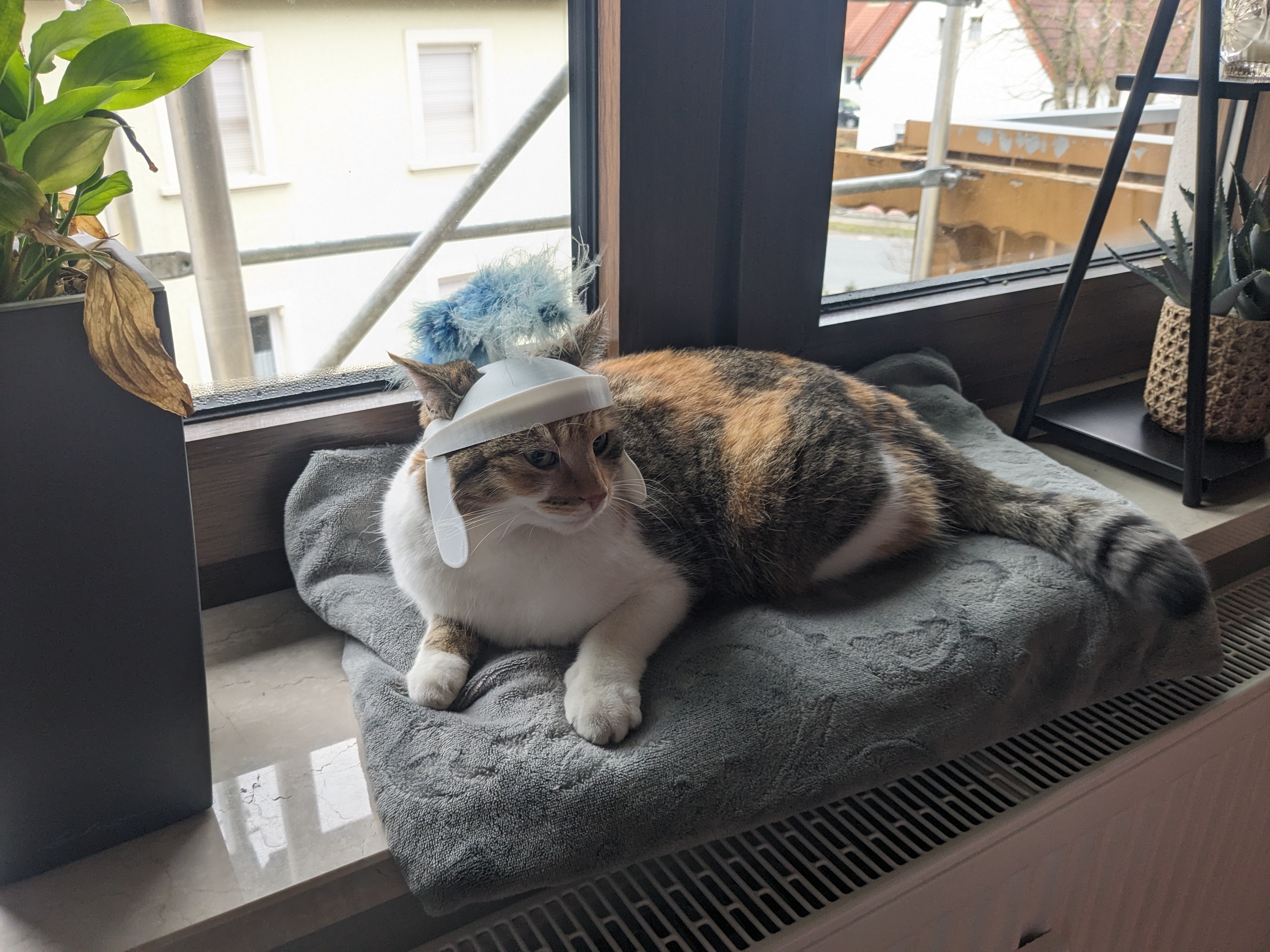 roman cat helmet — miniatura 2