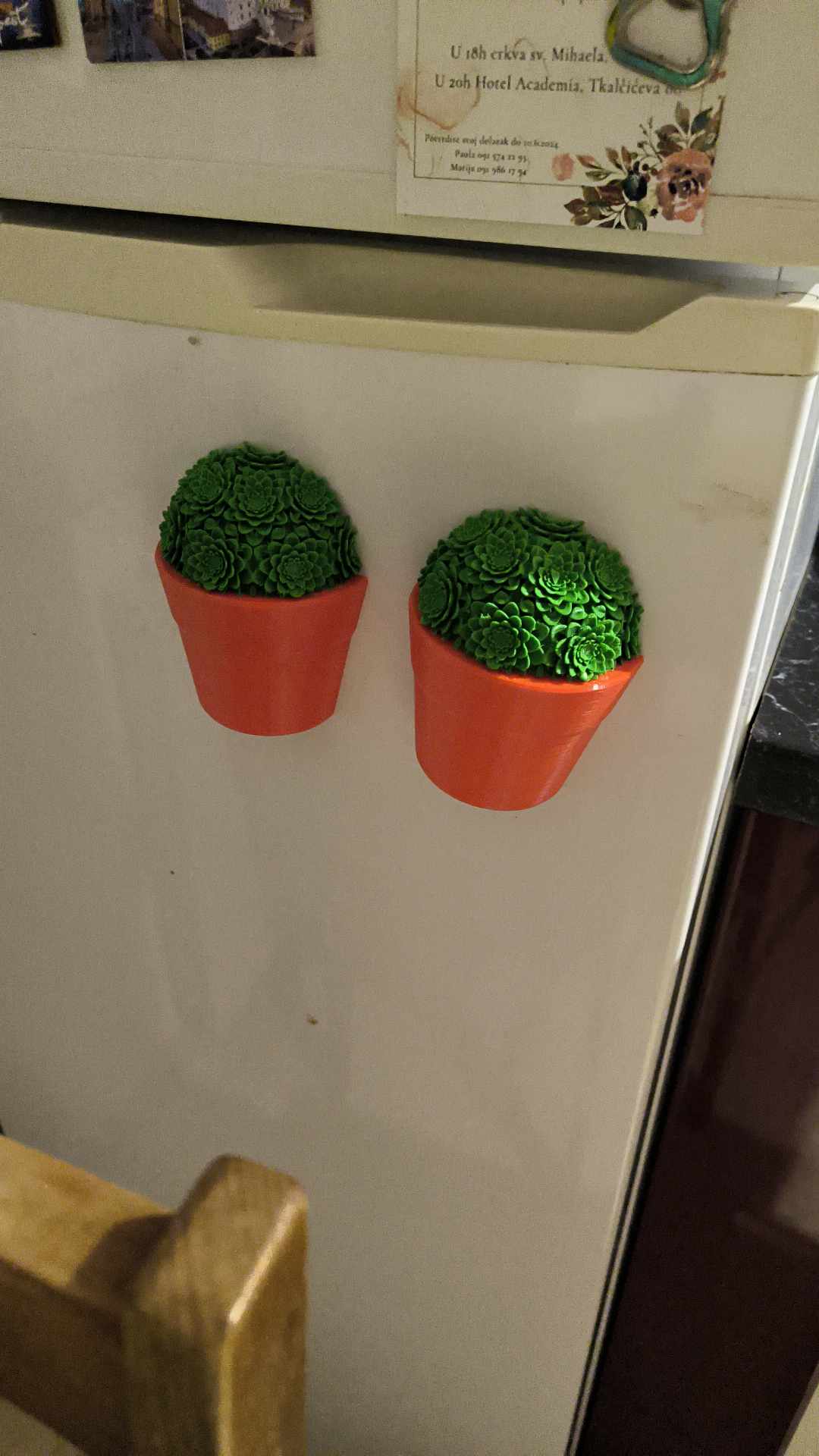 succulent plant pot