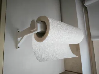 Paper towel holder