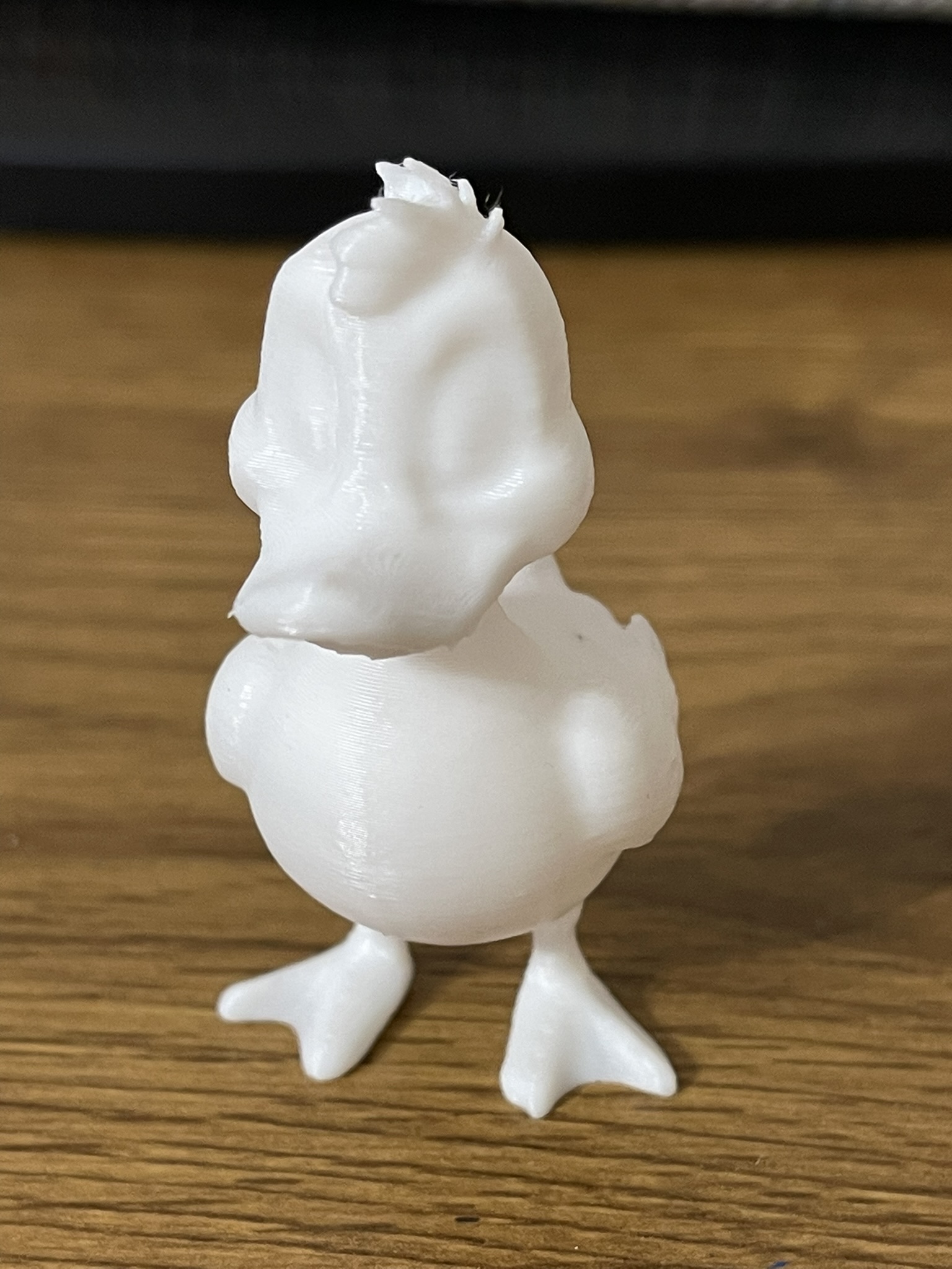 Duck 3