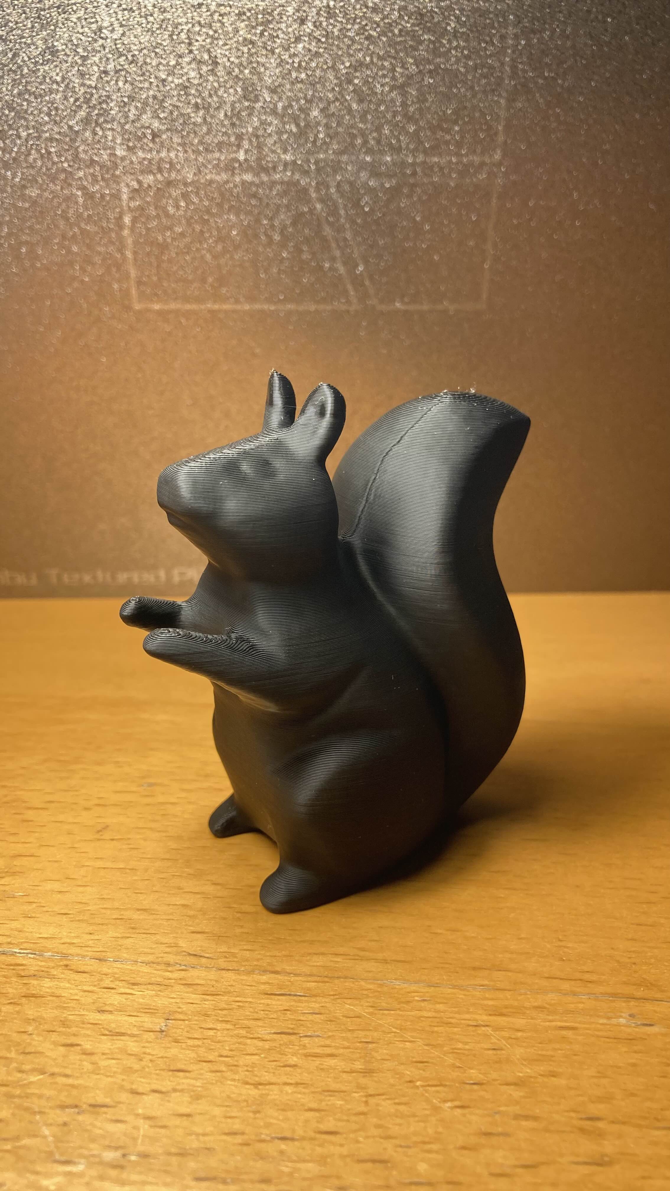 Squirrel — thumbnail 2