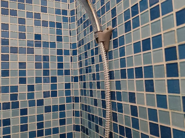 Shower Head Holder