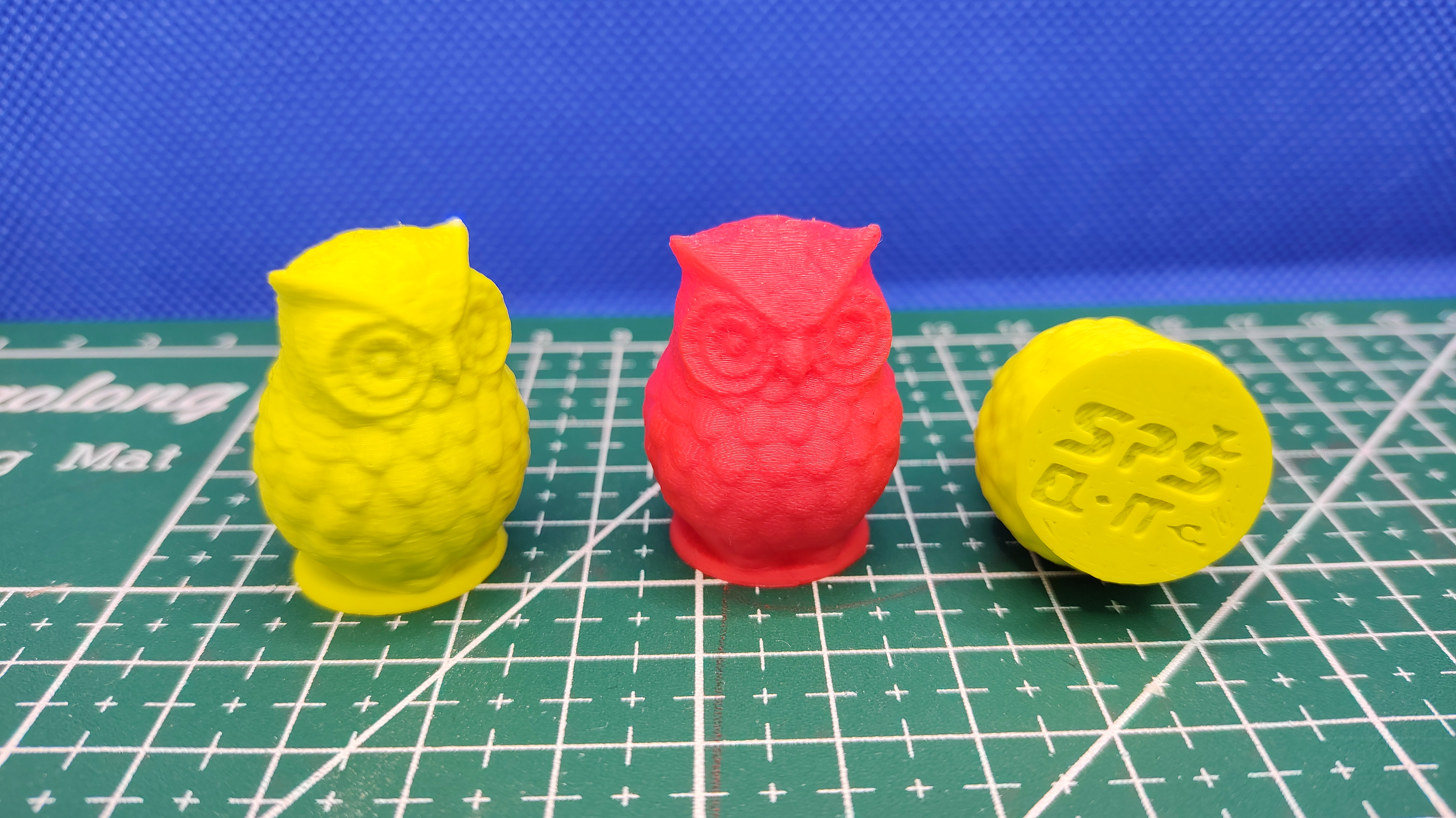 Owl with logo