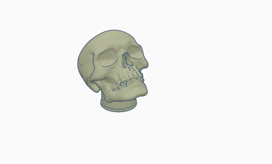 Skull Valvecap — thumbnail 2