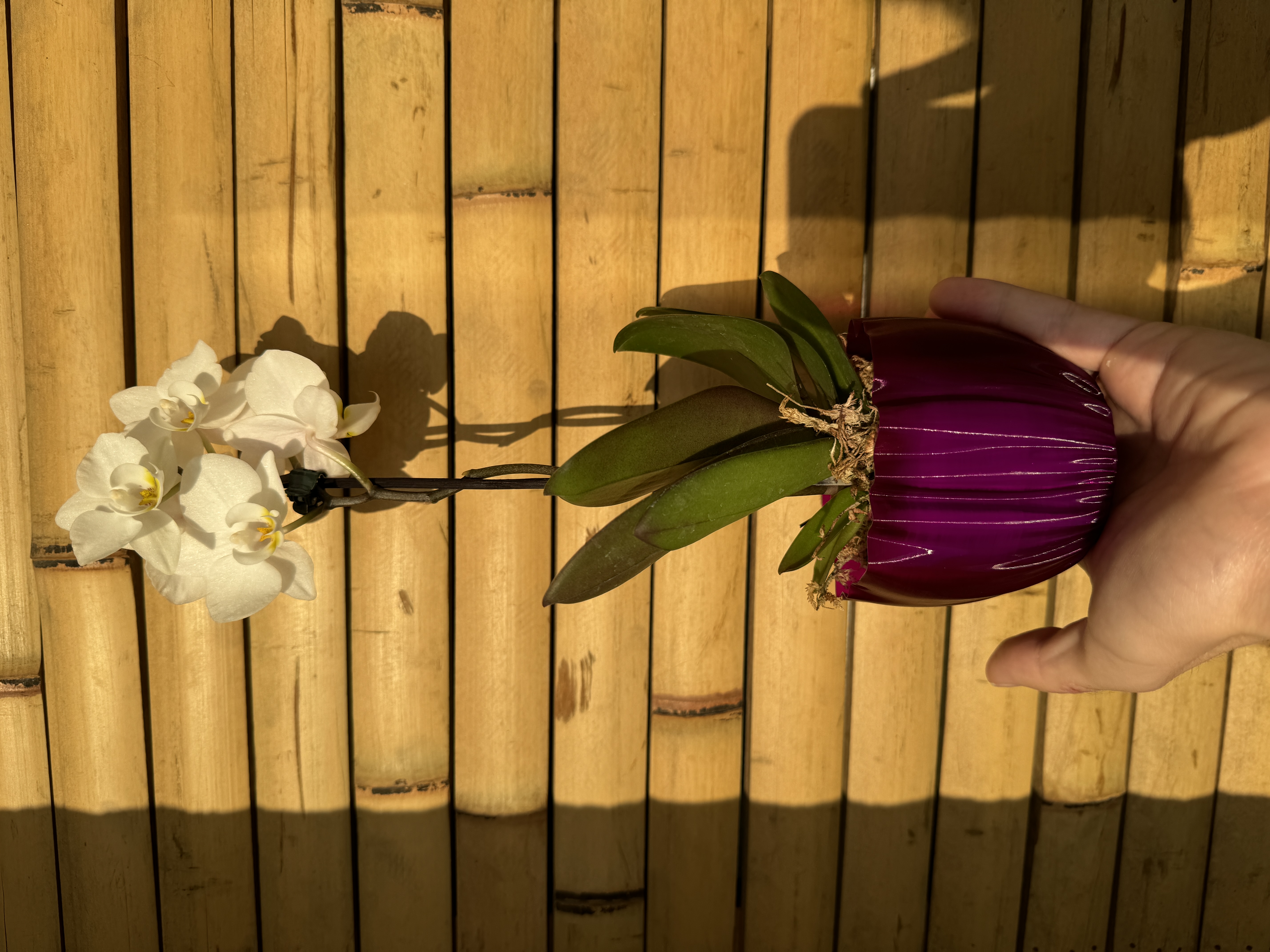 Drape Vase A — miniatura 2