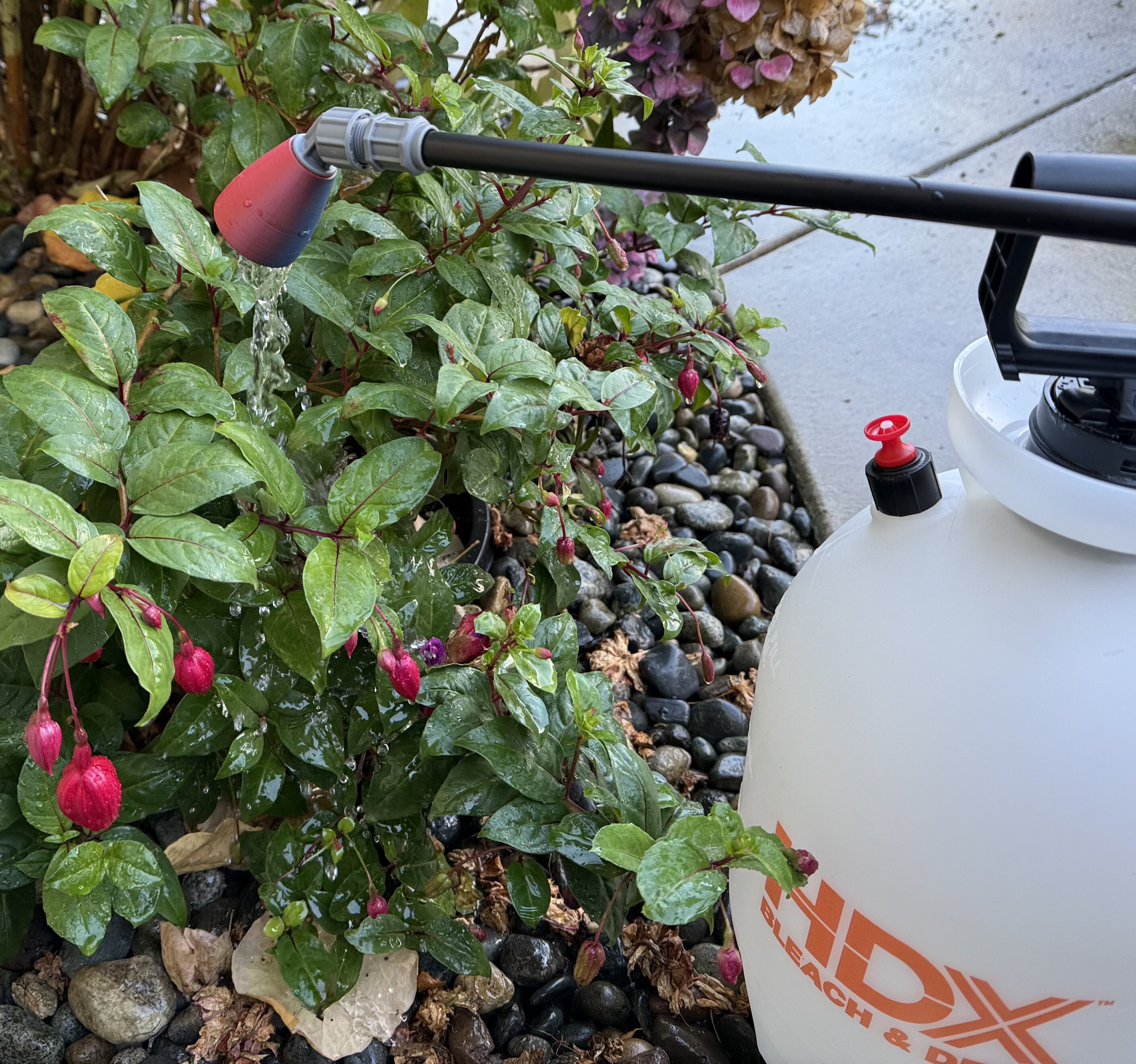 Watering Nozzle for Pump Sprayers
