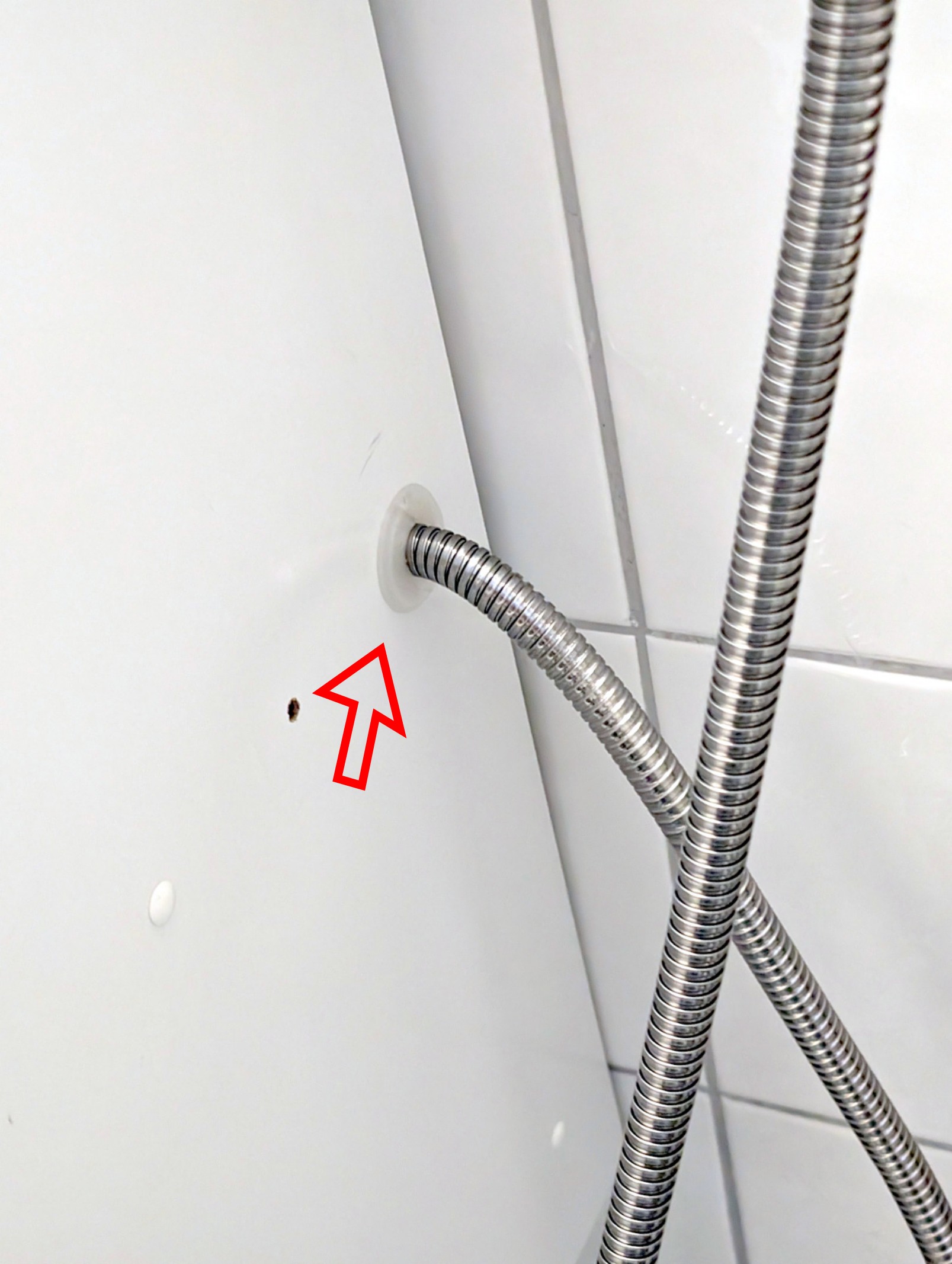 Shower Hose Passthrough (for handheld shower head/bidet)
