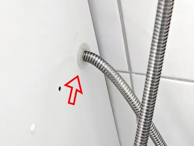 Shower Hose Passthrough (for handheld shower head/bidet)