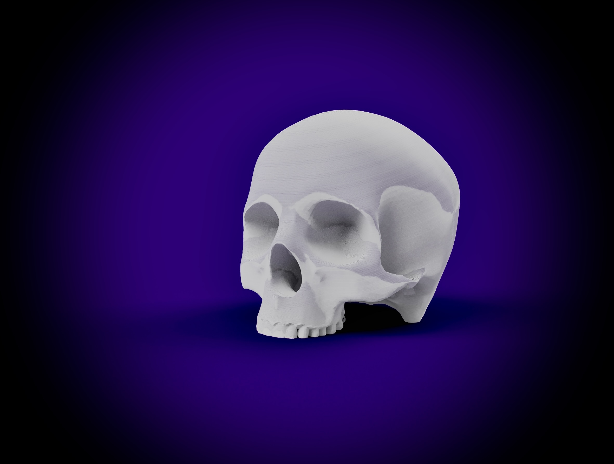 Human Skull - Jaw Delete