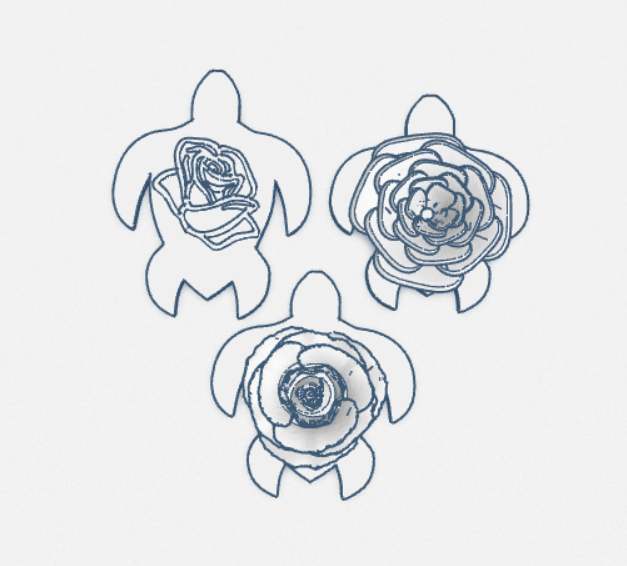 rose turtle