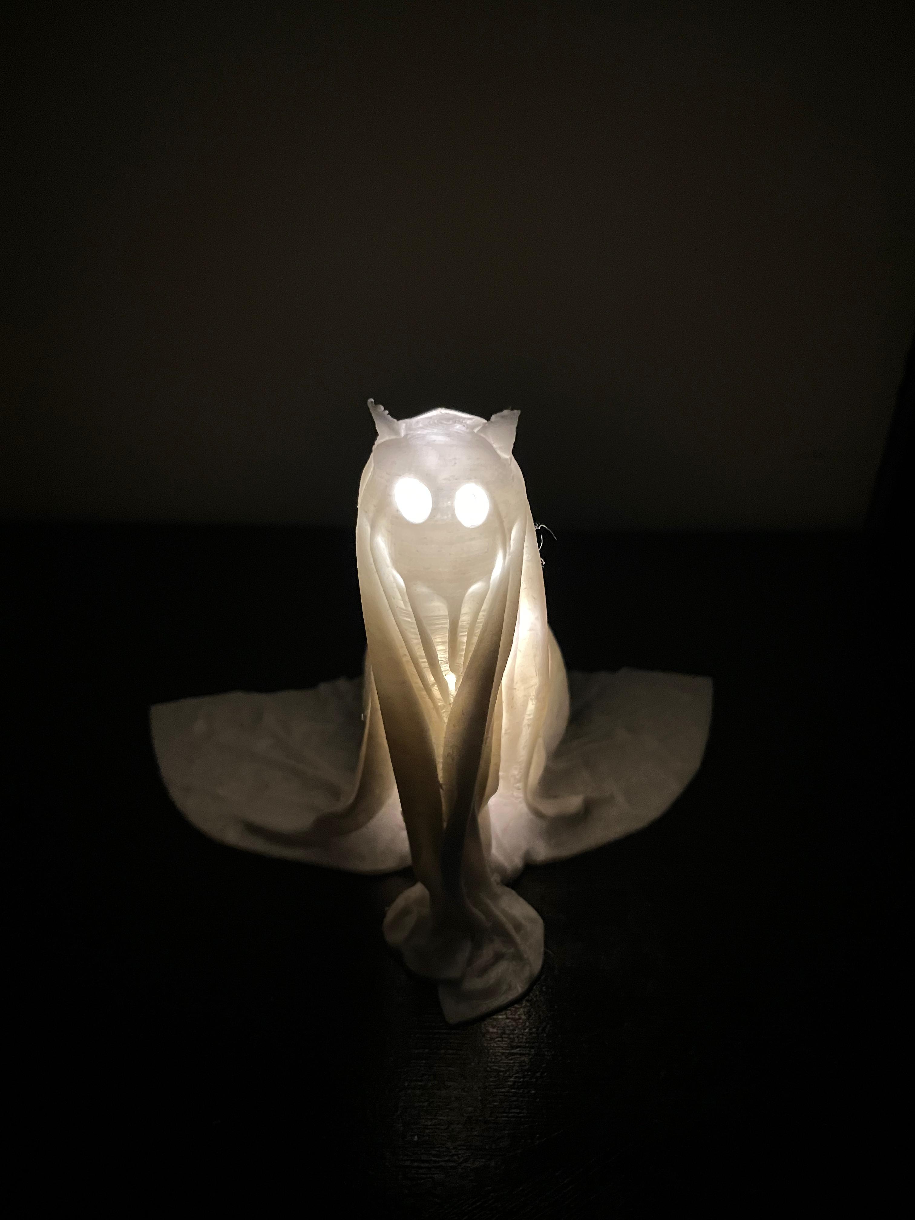Boo The haloween kitten by Srijan Chandrakar Download free STL model
