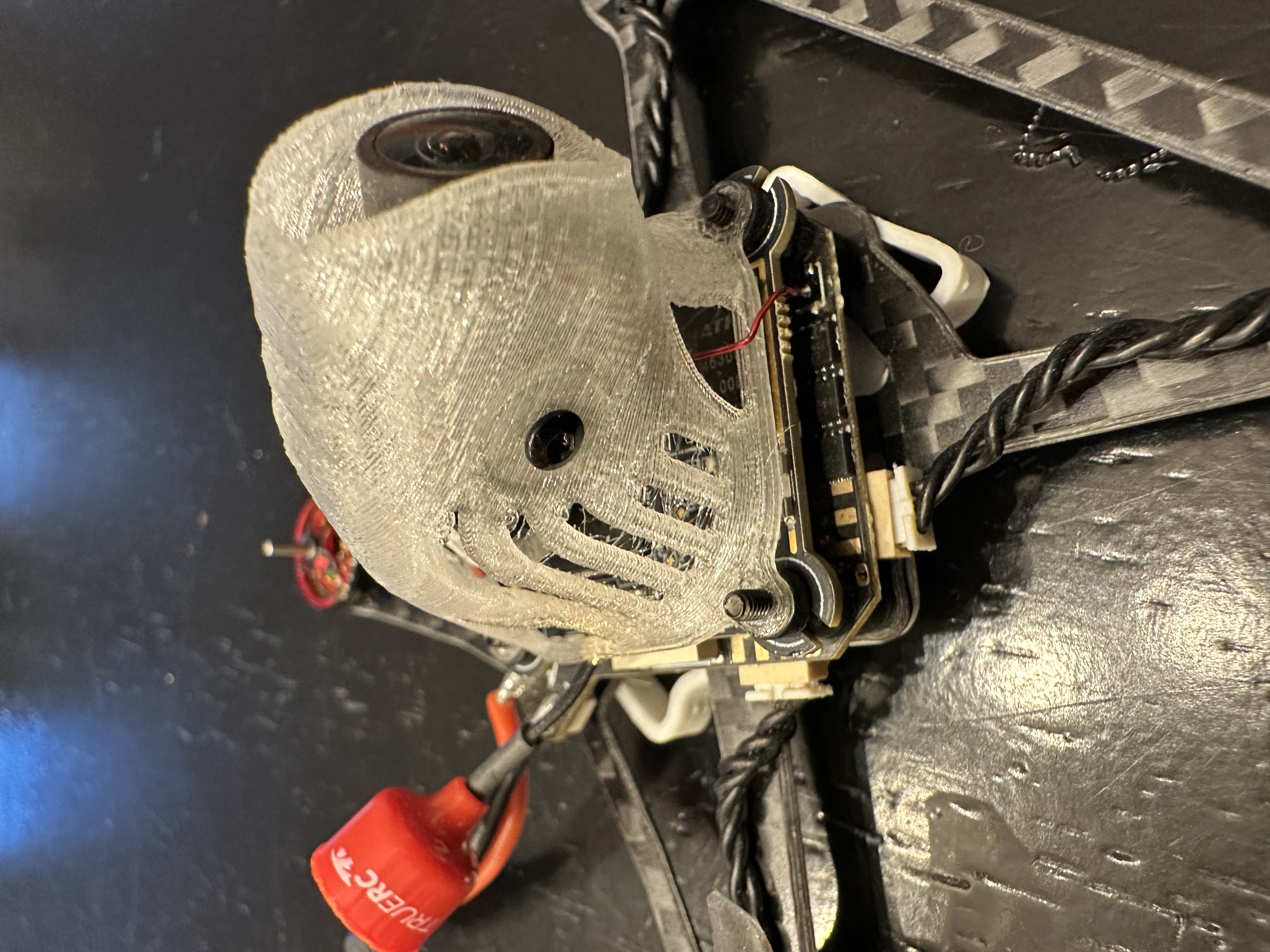 Dino Pod Canopy for 2s drones