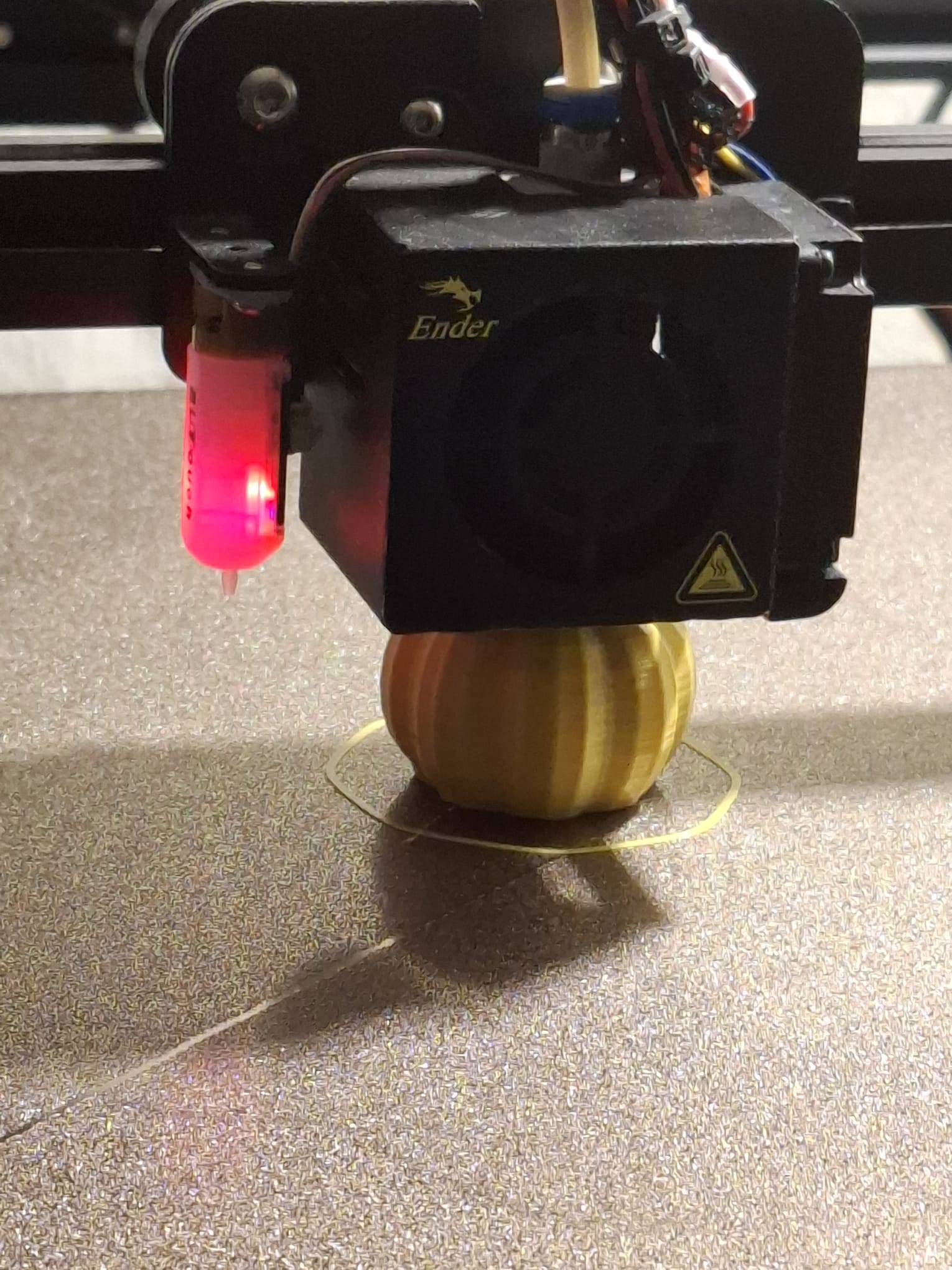 pumpkin halloween — thumbnail 10