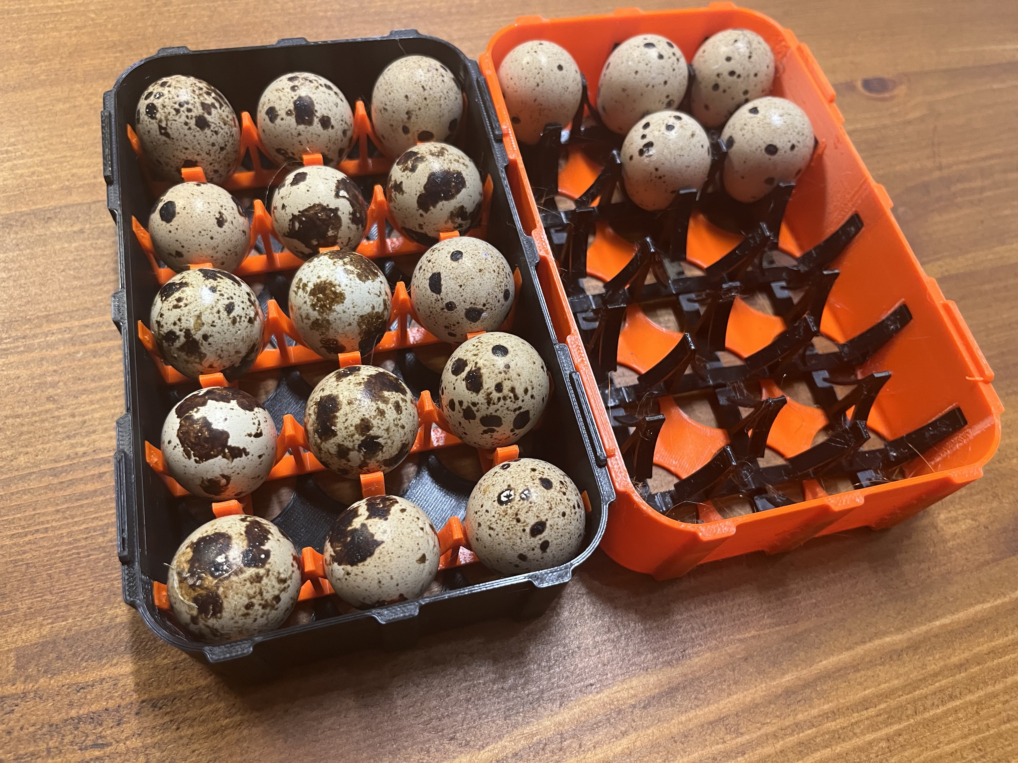 Quail egg conteiner - stackable