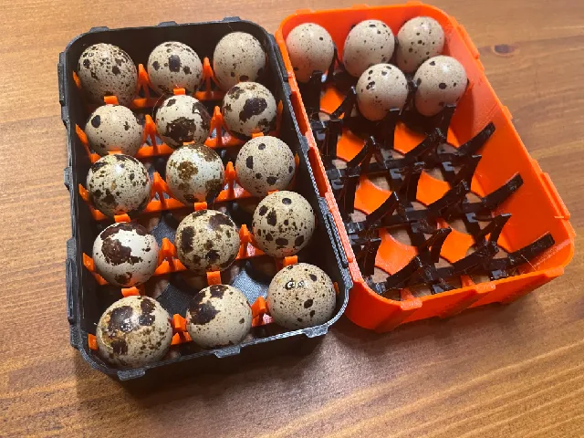 Quail egg conteiner - stackable