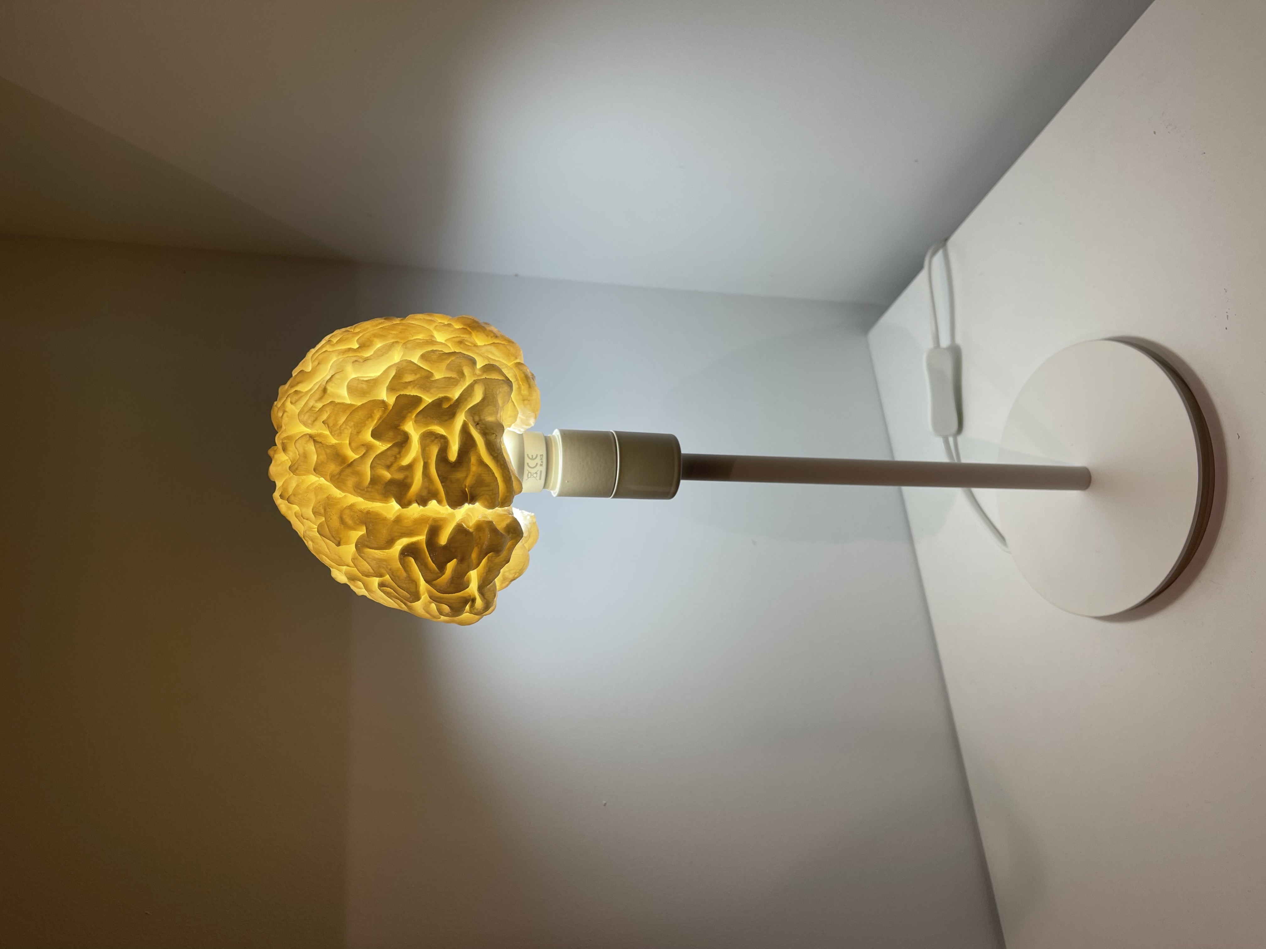 Human brain LED RGB desk lamp