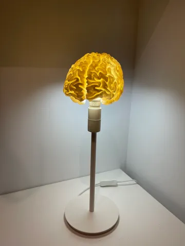 Human brain LED RGB desk lamp