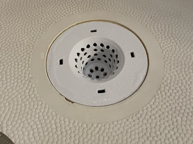 Shower Drain Catch