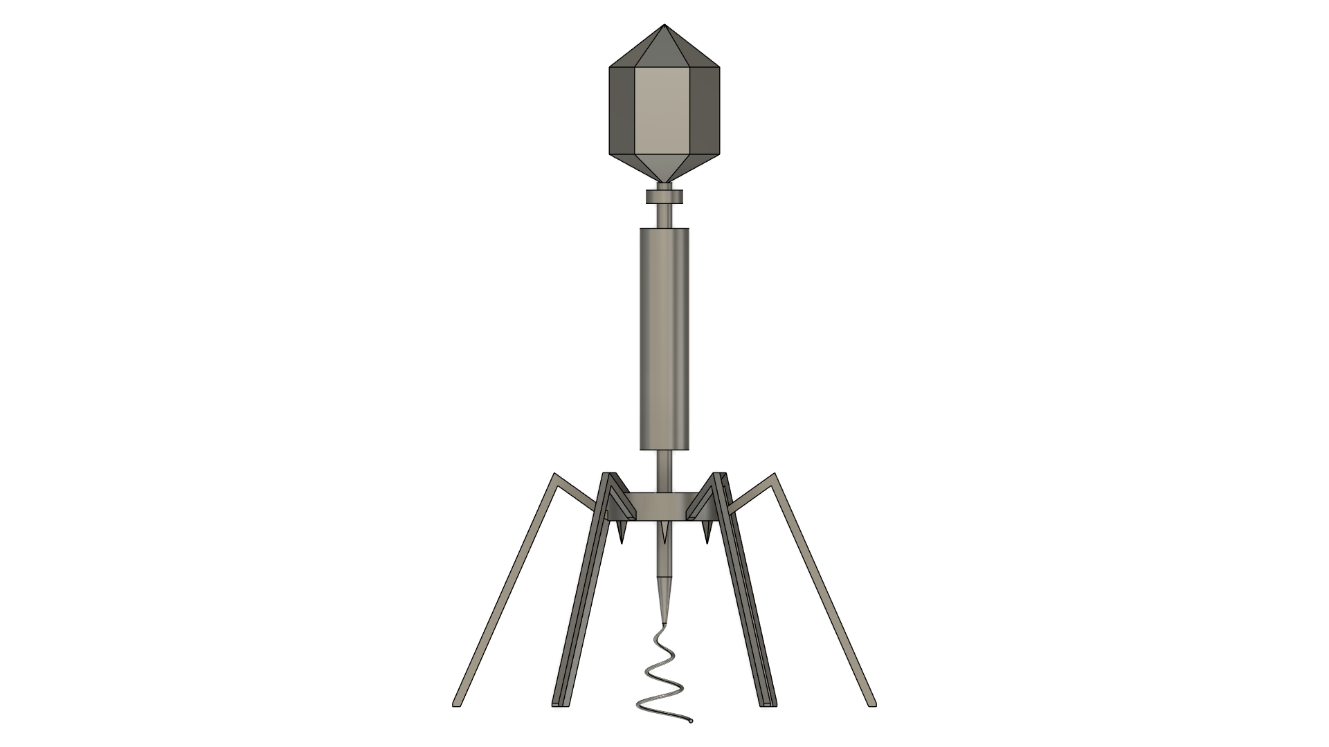 Bacteriophage