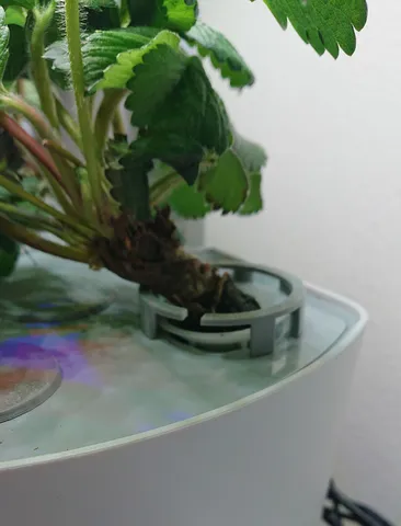 Aerogarden plant supports