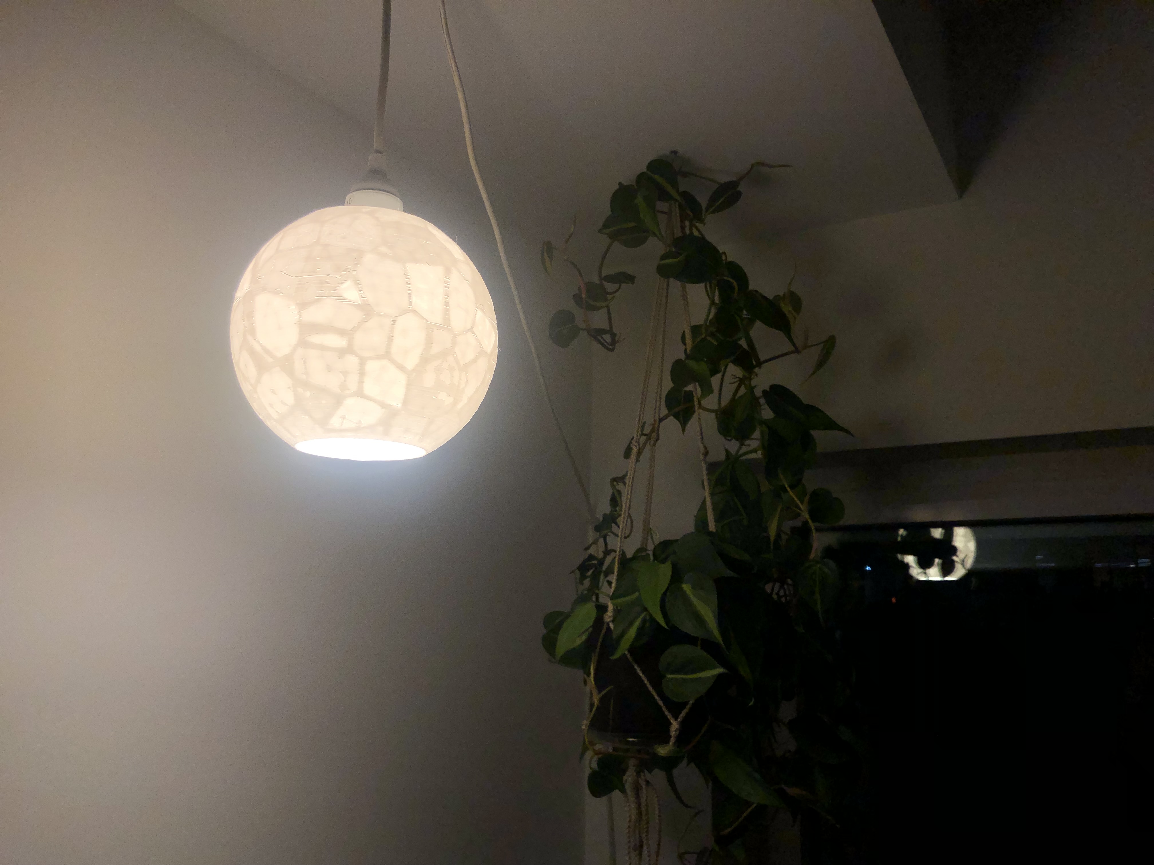 Globe lamp shade
