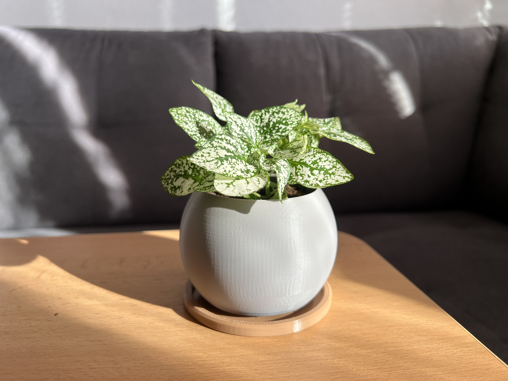Miniatura 6 do modelo 3D Simple planter