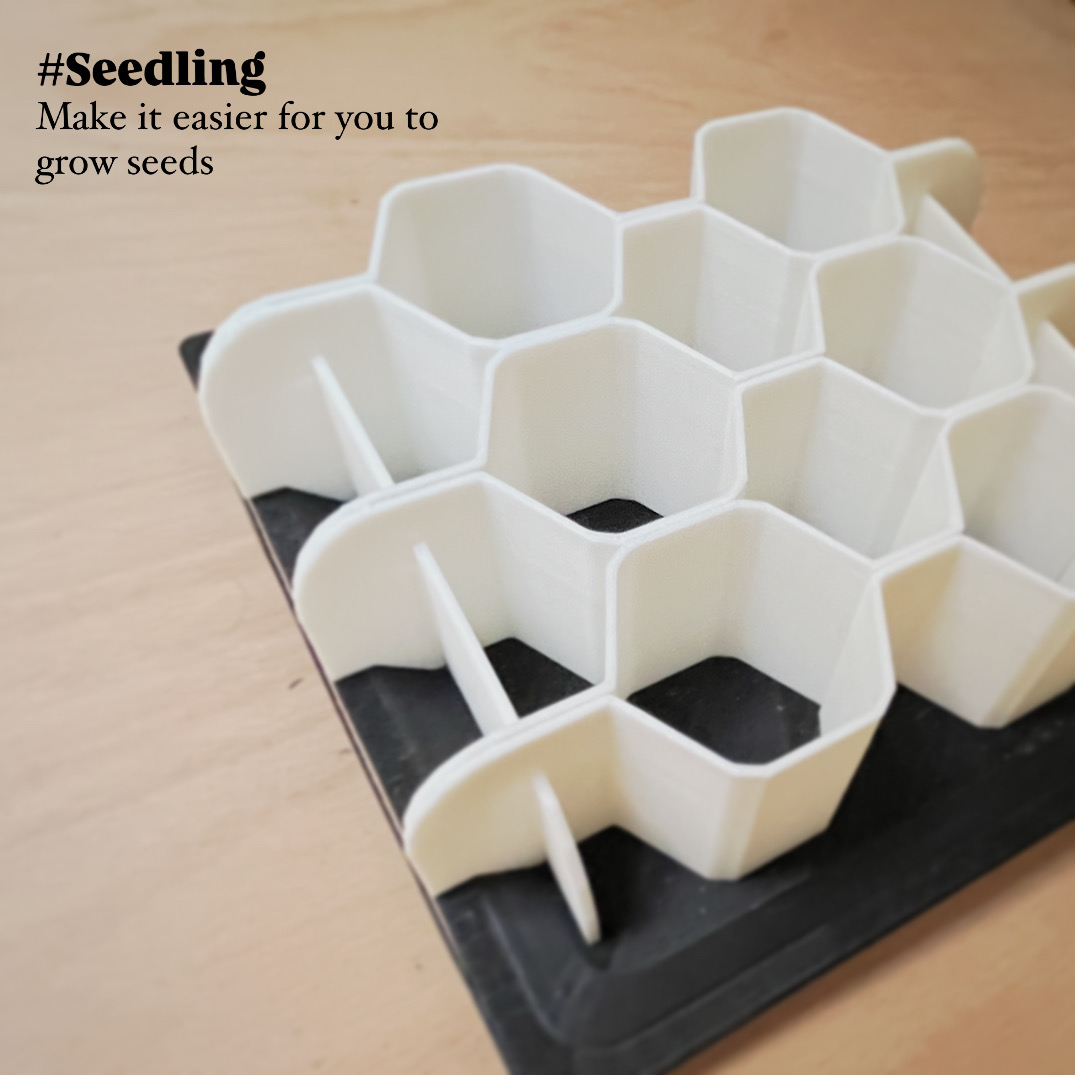 Seedlings