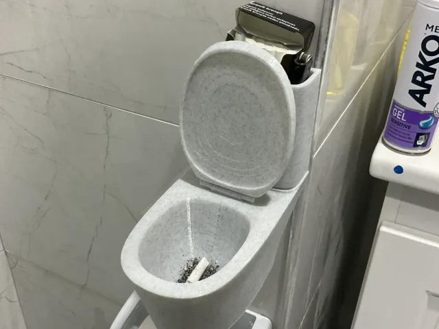 The Toilet Ashpit