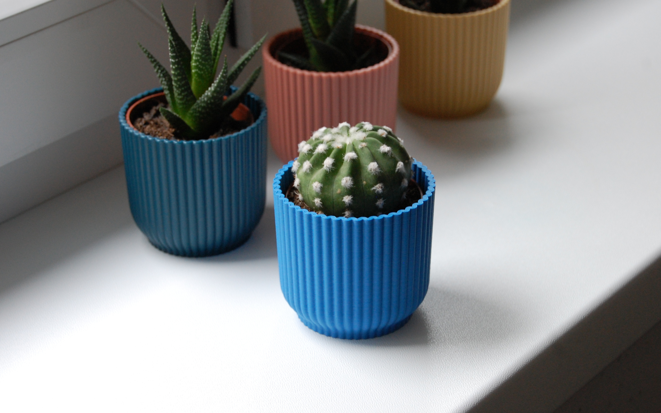 Modern Wave Planter