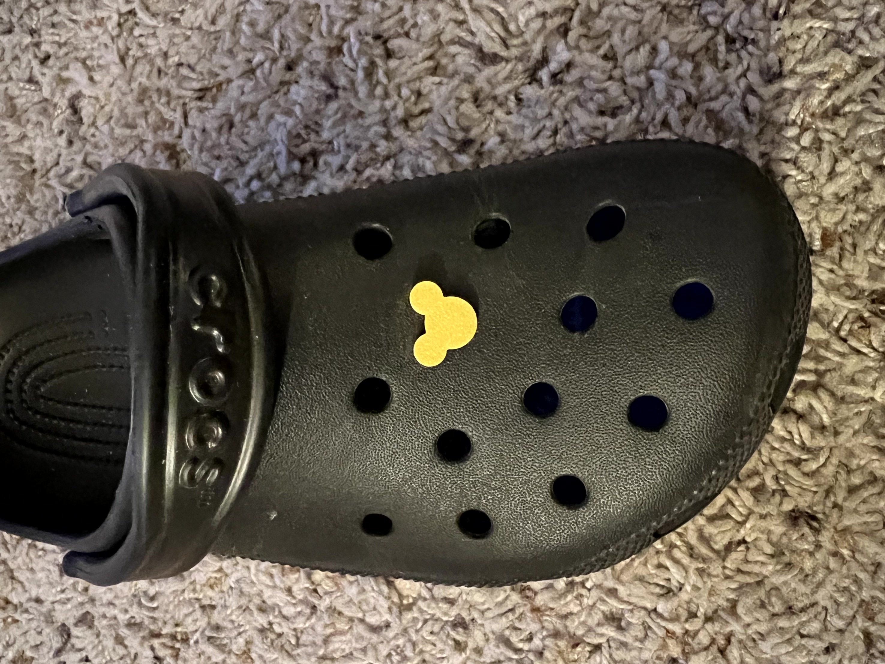 Disney Croc Charm Resized
