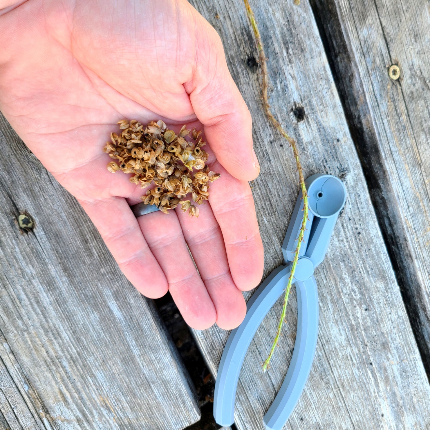 Basil Stem Stripper Pliers — miniatura 5