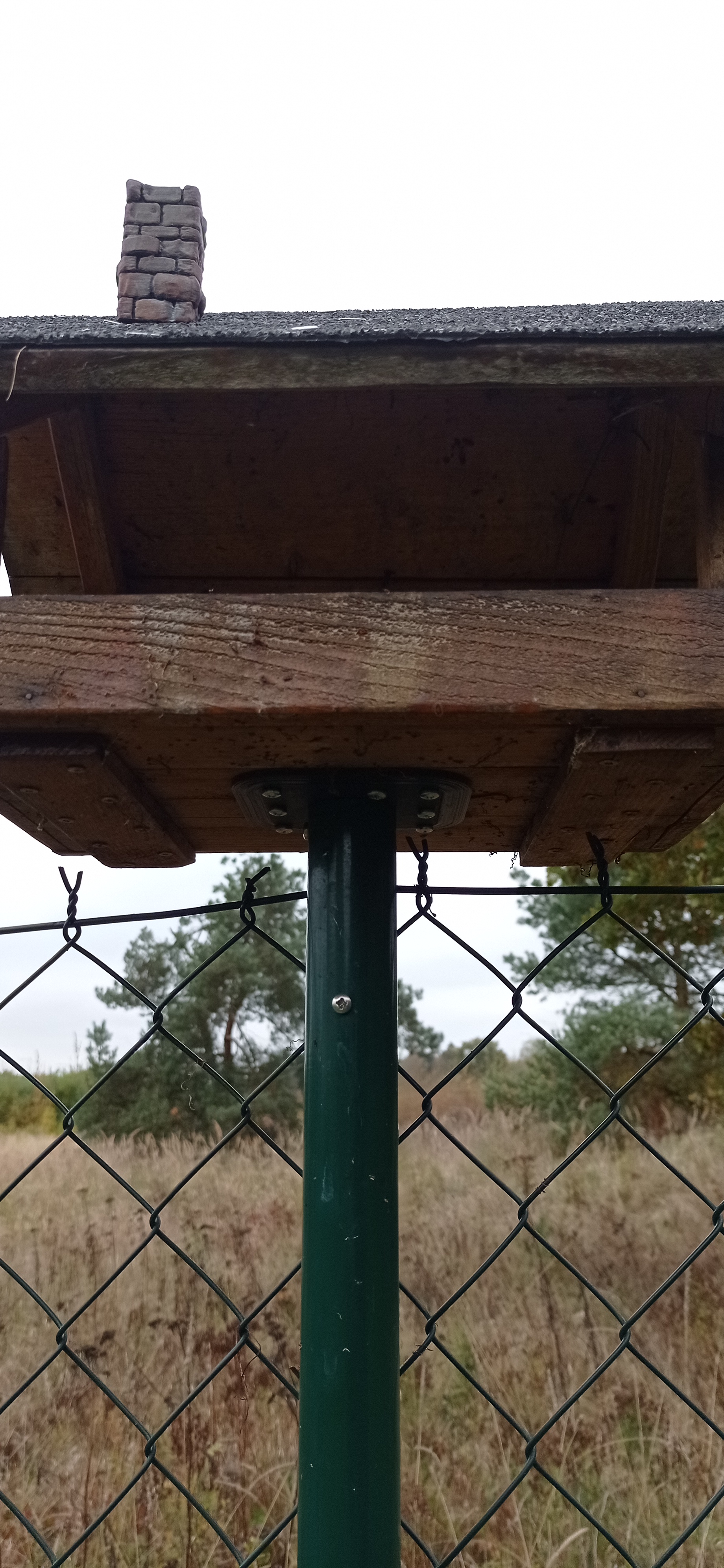 Birdhouse peg for fence marten 38mm