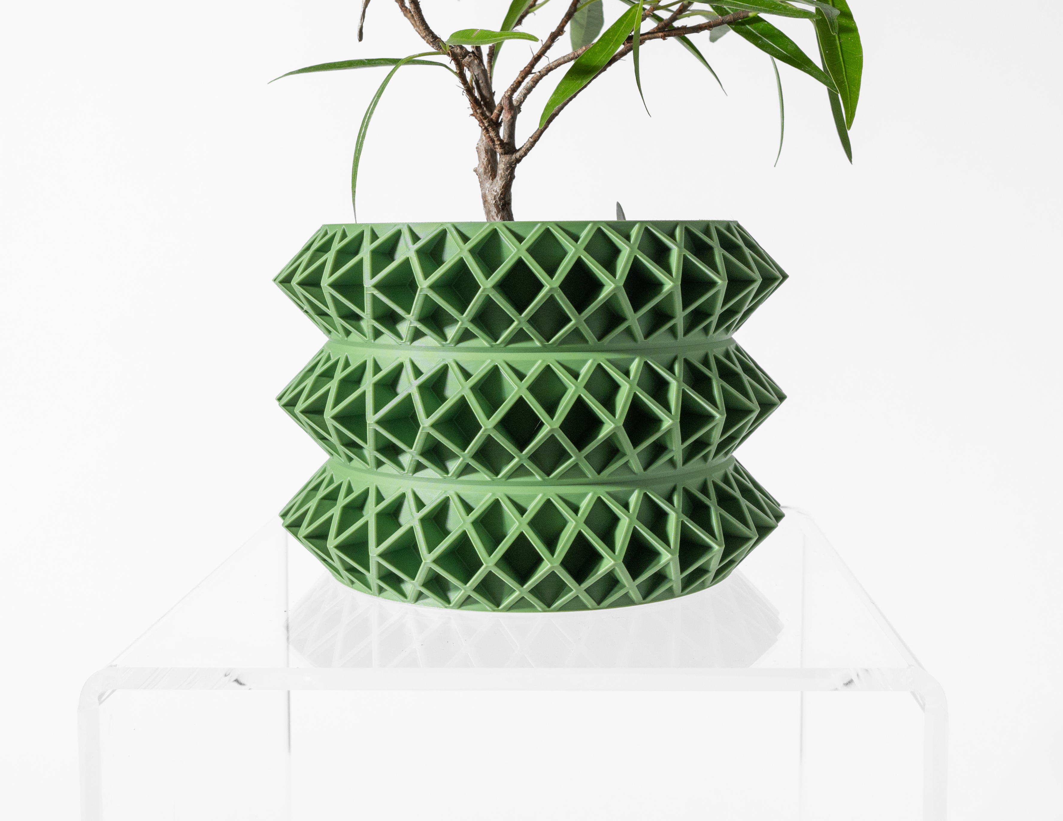 The Tomo Planter Pot with Drainage Tray & Stand: Modern and Unique Home Decor for Plants and Succulents
