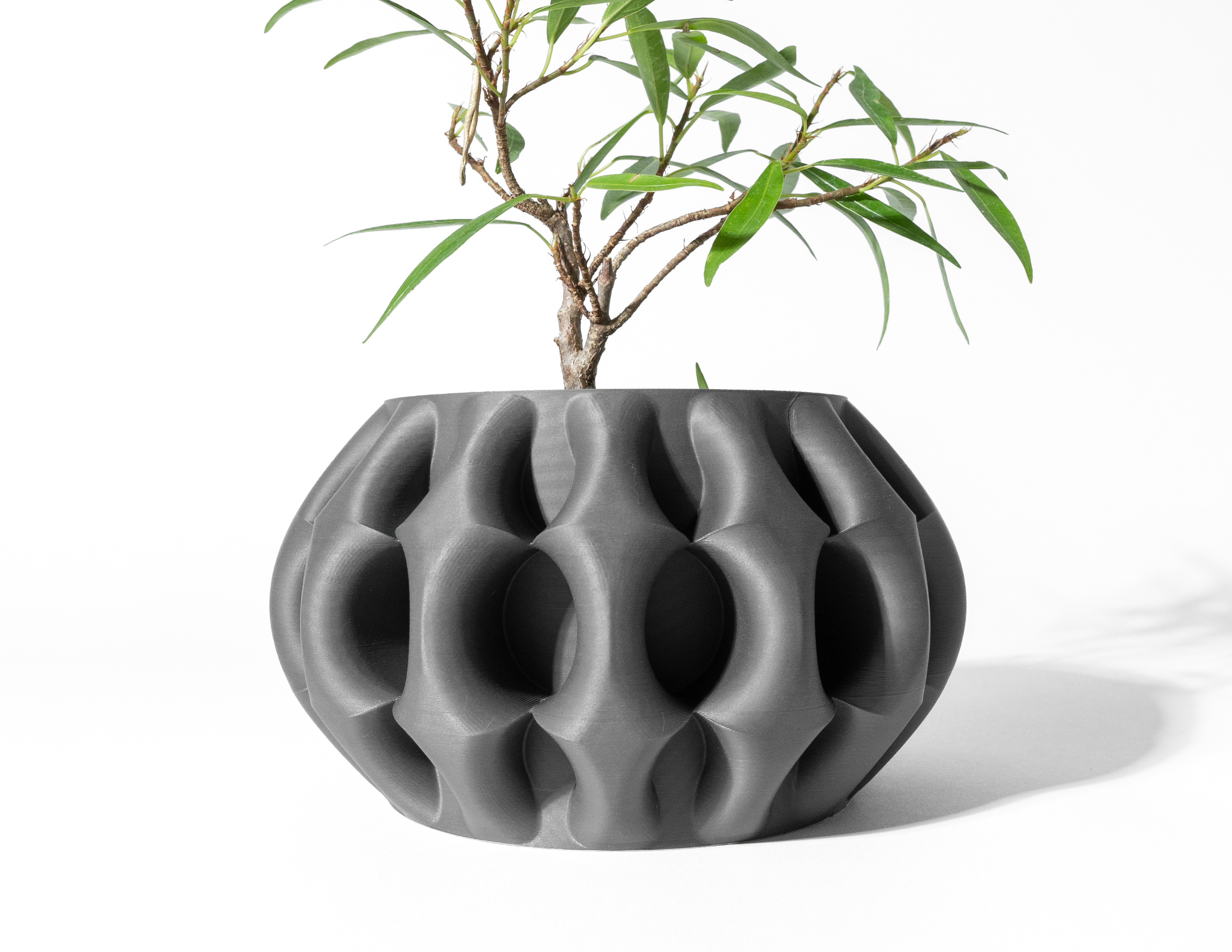 The Xiomu Planter Pot with Drainage Tray & Stand: Modern and Unique Home Decor for Plants and Succulents