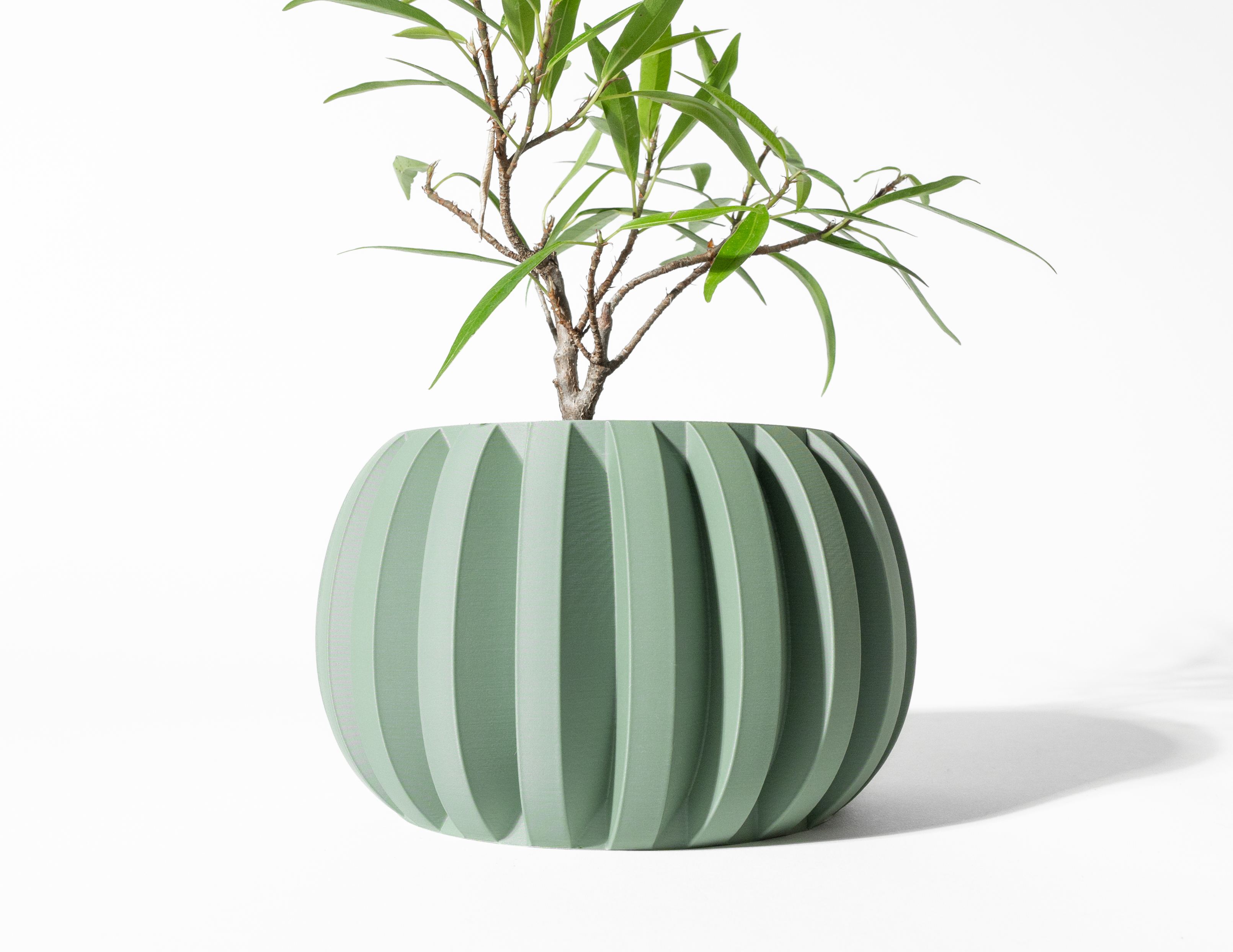 The Jone Planter Pot with Drainage Tray & Stand: Modern and Unique Home Decor for Plants and Succulents