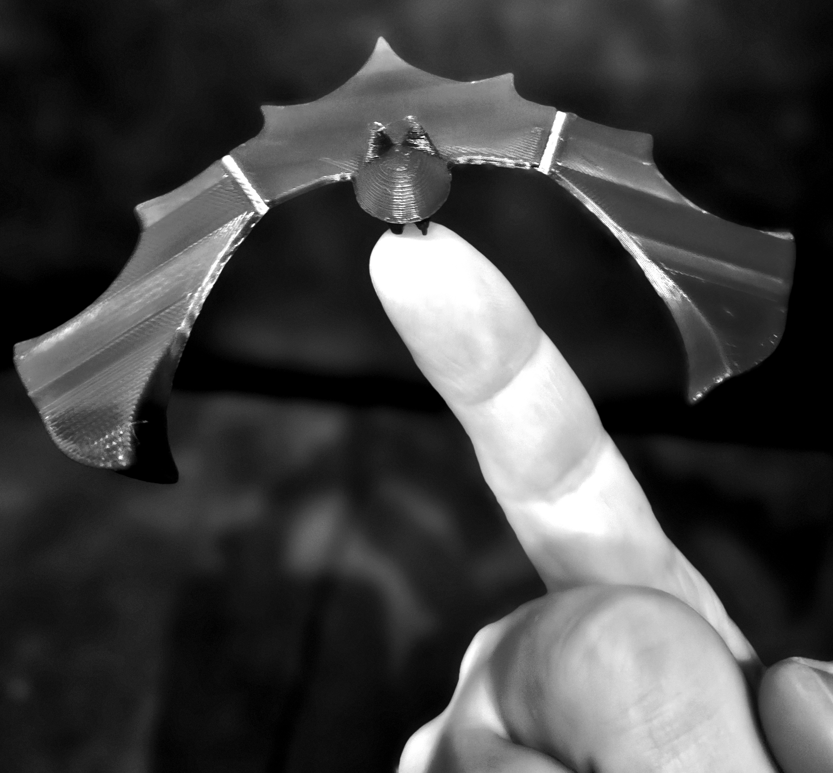 Miniatura 2 do modelo 3D Self-balancing bat