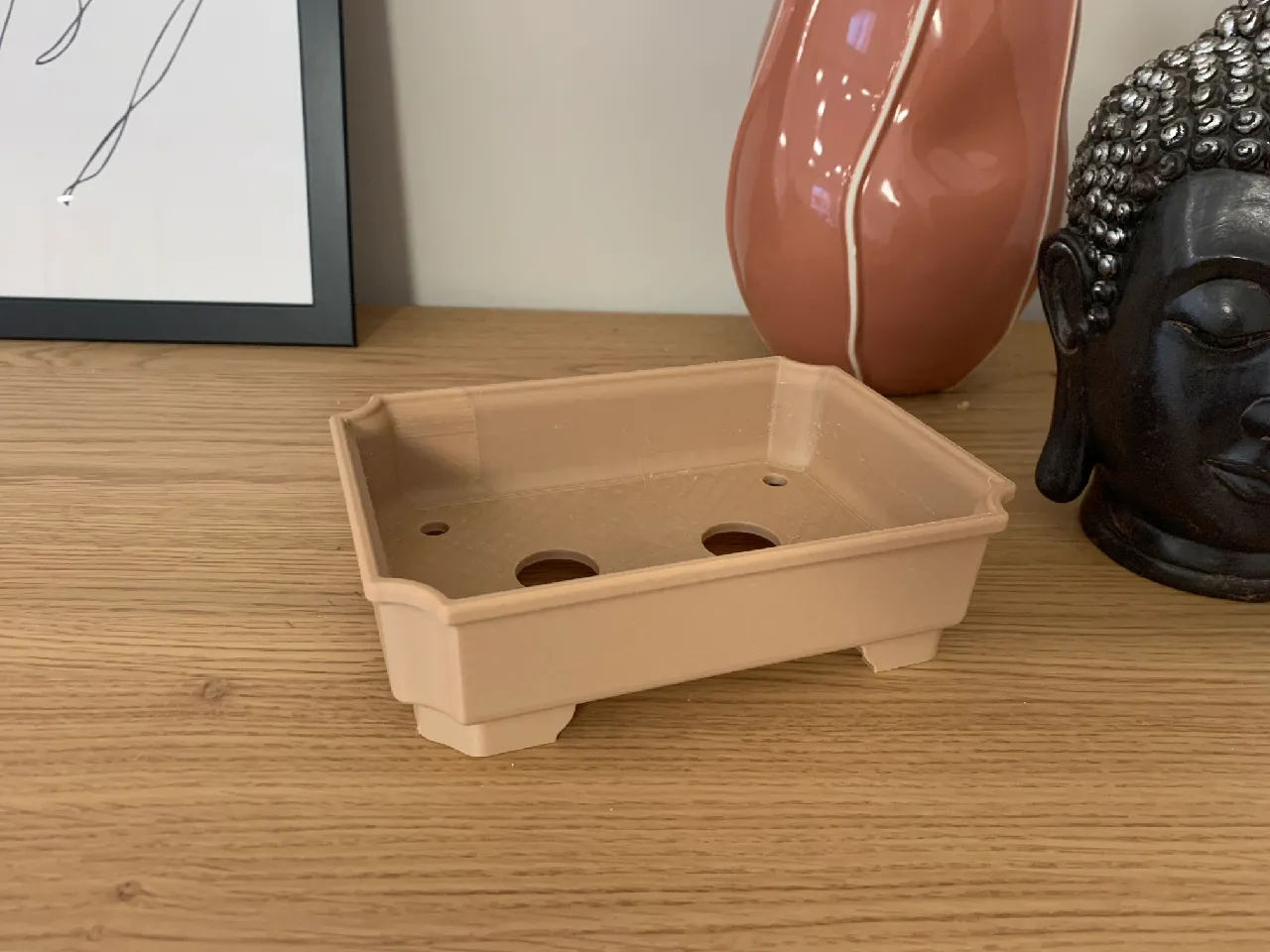 bonsai sageretia verliert blätter Bonsaï Sageretia theezans — Chinesischer Pflaumenbaum main image 1