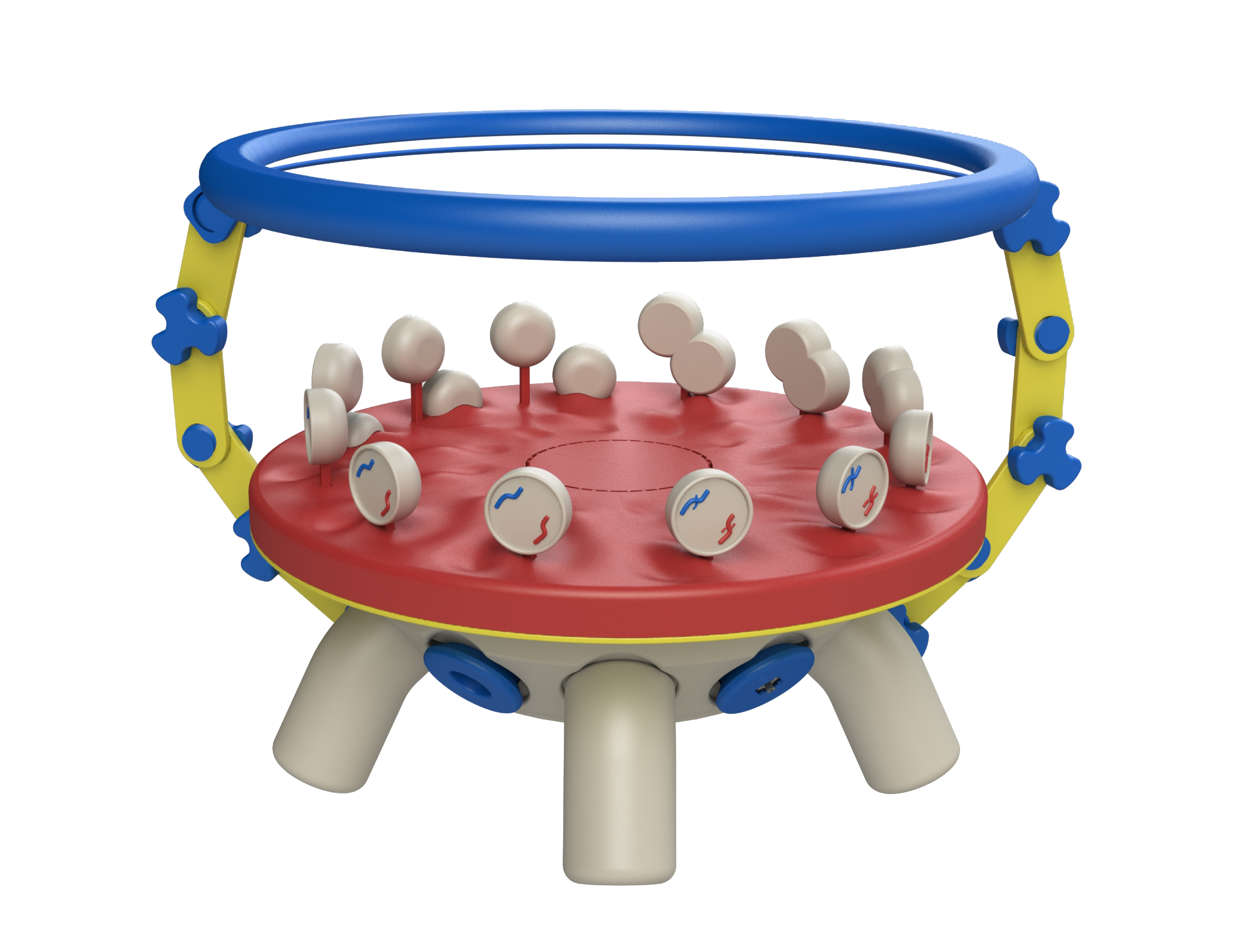 RotoLearn — miniatura 3