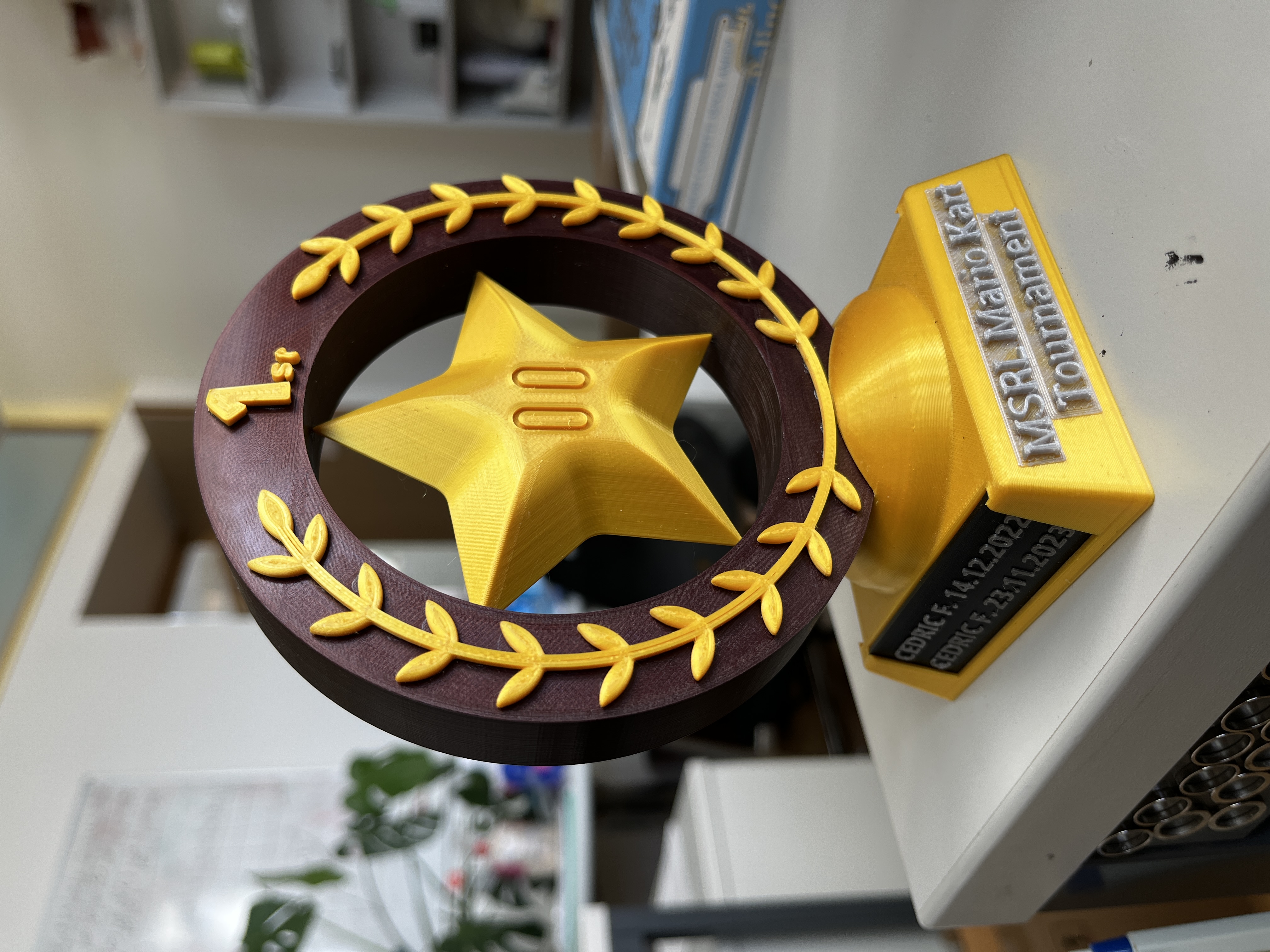 Mario Kart Tournament Trophy