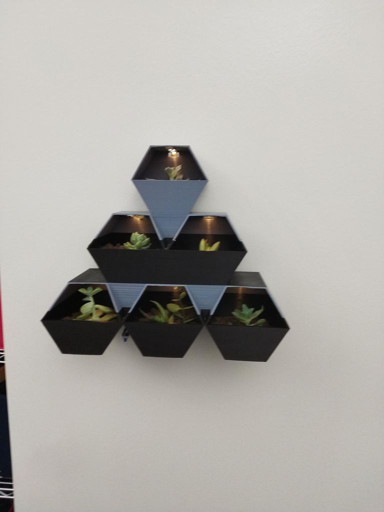 Miniatura 2 do modelo 3D succulent pot