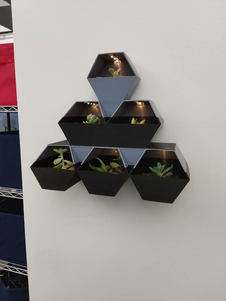 Miniatura 3 do modelo 3D succulent pot