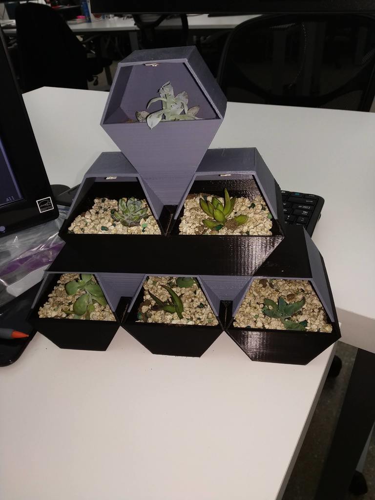 Miniatura 22 do modelo 3D succulent pot